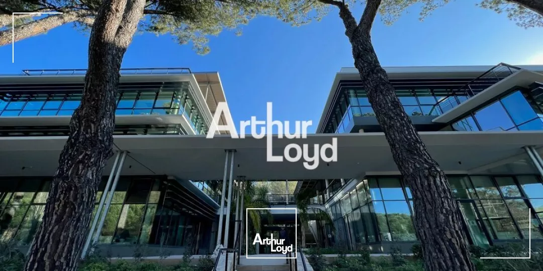 Sophia Antipolis - Bureaux neufs 494 m² à louer - Prestations haut de gamme